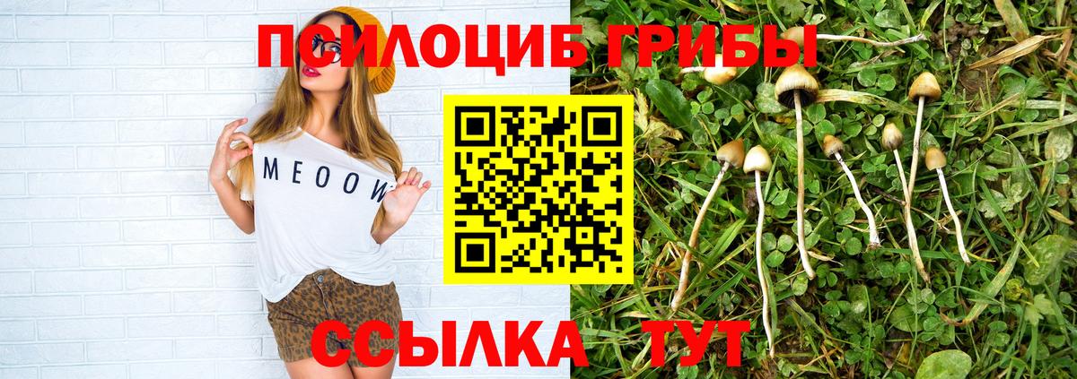 Галлюциногенные грибы Cubensis  Псилоцибиновые грибы Psilocybine cubensis  цены   Петропавловск-Камчатский  Вход с VPN 